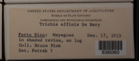 Image Associated With the Occurence